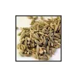 Fennel Seed