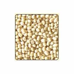 Urad Gota