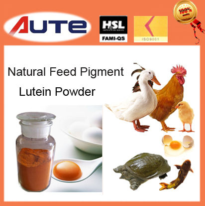 Natural Feed Pigment Lutein Powder