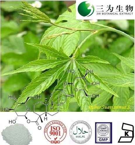 Sweet Tea Leaf Extract, 70% Rubusoside