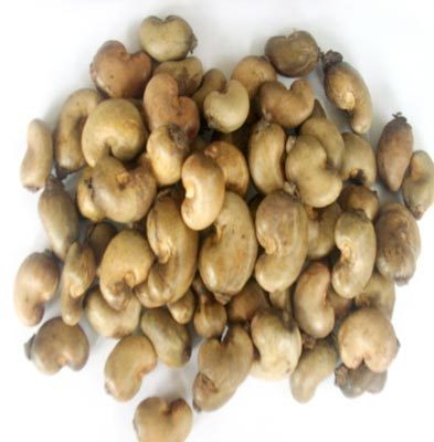 Dry Cashew Nuts By Cansuki Trading Co.
