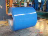 Prepainted Galvanized Steel Coil