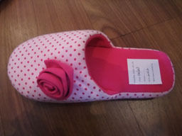 Cozy Pink Slipper