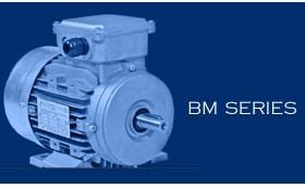 Induction Motor (BM Series)