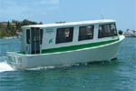 30 Feet Luxury Ferry Boat