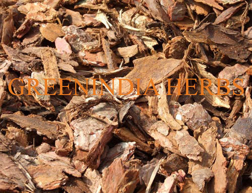 Cinchona Bark - Dried & Powdered Form | Rich in Quinine and Quinine for Anti-Malarial and Antiarrhythmic Benefits