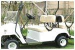 Golf Cars (RYD399B)