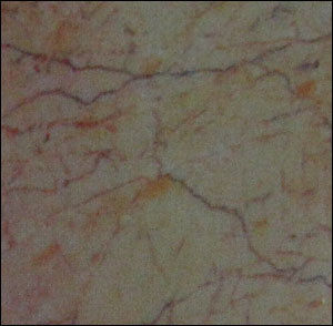 Golden Porthoro Marble