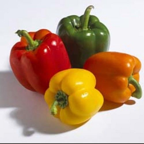 Green Red Yellow Capsicums - Organic Hydroponically Grown | Versatile Culinary Uses, Antibacterial Properties, Rich in Nutrients