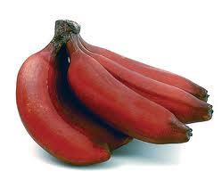 Nutritional Red Banana