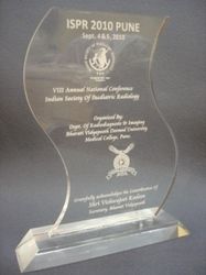 Stylish Engraved Acrylic Business Trophy