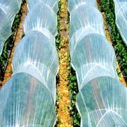 Low Tunnel Film - Climate Resistant Material | Insect Protection, Early Crop Yield Enhancement, Multi-Plant Coverage