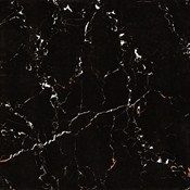 Black Protro Ceramica Vitrified Tile