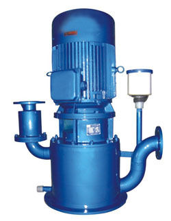 Vertical Self-Suction Pumps CRLZ