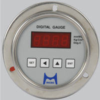 Digital Pressure Gauges