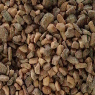 Apricot Kernel Shell