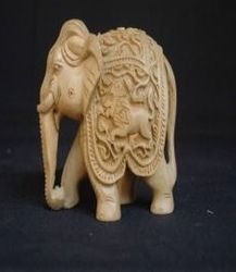 Elephant Jewel Shikar