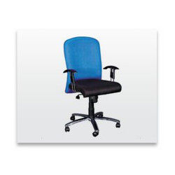 Executive Two Color Chair