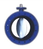 Double Flanged Centric Disc Rubber Lined Butterfly Valve