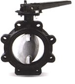 General Purpose Rubber Lined Butterfly Valve With Lugged Body