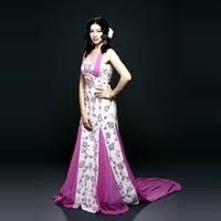 Ladies Designer Gown