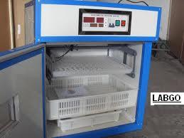 Egg Incubator For Laboratory