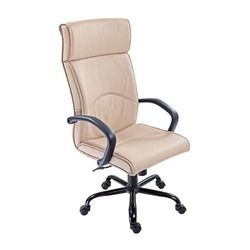 Office Executive Chair - Premium Quality Tested Materials, Ergonomic Design, Trendy Aesthetic