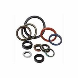 Oil Seal