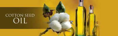 Refined Cotton Seed Oil