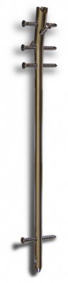 Humeral Nailing