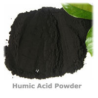 Humic Acid Powder