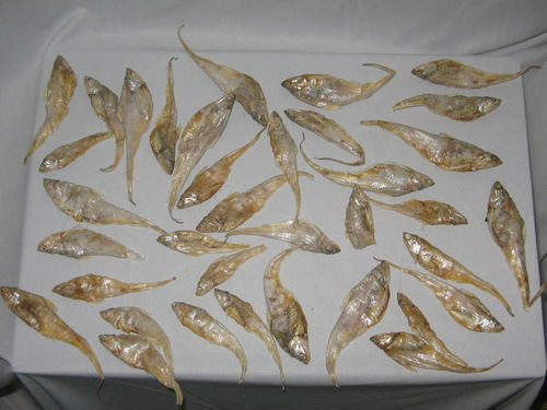 Dried Anchovies