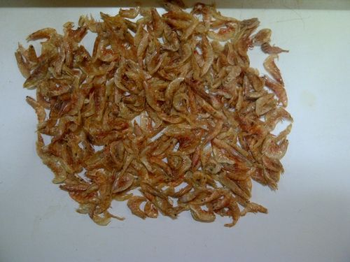 Dried Shrimps