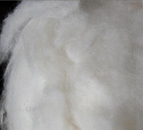 Raw Cotton Angola Cashmere