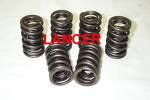 Lombardini Engine Valve Spring