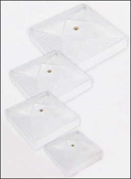 Square Plastic Dry Fruit Box