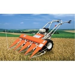 Rice Cutter