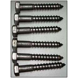 Black Polished Coach Screws