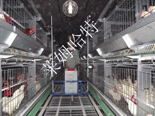 Poultry Cage Sprayer