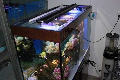 Cree LED Aquarium Lights