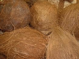 Coconuts