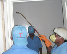 Dis Infestation (General Spray) Treatment Service By ARP Pest Control Company