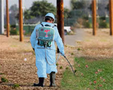 Weed Control Treatment Service