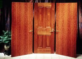 Wooden Flush Door