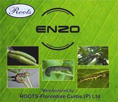 Enzo (Insecticide For Chewing Pest)