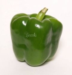 Fresh Capsicum Green