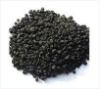 Petroleum Coke