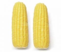 Sweetcorn On Cob