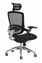 Executive Office Chair