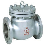 Check Valve